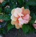 Barb Andersen - Facebook