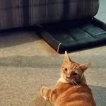 Barb Bagent - @barbbagent - Instagram