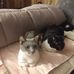 Barb Bagent - Facebook