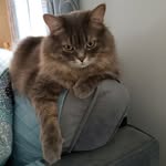 Barb Bailey - @barbbailey73 - Instagram