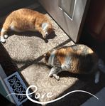 Barb Bailey - Facebook