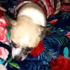barb bailey - @barb.bailey3 - TikTok
