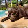 user8550570873131 - @barbbailey78 - TikTok