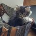 Barb Ballard - Facebook
