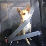Barb Barnett - @barbbarnett06 - Instagram