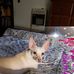 Barb Barnett - Facebook