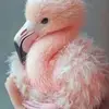 barbbasso - @barbbasso - TikTok