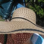 Barb Bates - Facebook