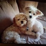 Barb Beasley Taylor - @barbtaylor2749 - Instagram