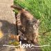 Barb Betts - Facebook