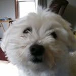 Barb Betts - @barbarabetts62 - Instagram
