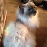 Barb Betts - @barbaraann127 - Instagram