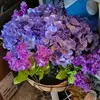 Barb Betts - @barb.betts7 - TikTok