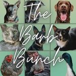 Autumn | The Barb Bunch - @thebarbbunch - Instagram
