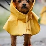 Barb Burns - @barb_miltner - Instagram
