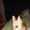 barbburns6 - @barbburns6 - TikTok