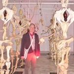 Barb Campbell - @barb.campbell2020 - Instagram