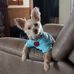 Barbara Carl - Facebook