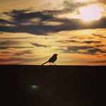 Barb Carlson - @barbanddaniel - Instagram