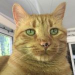 Barb Carlson - @bjc847 - Instagram
