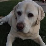 Barb Carr Hollenbach - @mamaholla1 - Instagram