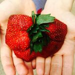 Barb - @barb.in.the.castle - Instagram