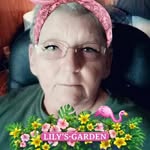 Barb Chapman - @barbchapman96 - Instagram