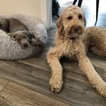 Barb Chapman - @barbchapman47 - Instagram