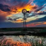 Barb Chapman-Berndt - @bchapmanberndt - Instagram