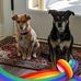 Barbara Cody - Facebook