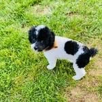 Barb C - @barb_collins - Instagram