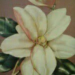 Barb Collins - @bcllins1953 - Instagram