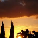 Barb Collins - @barbcollins32 - Instagram