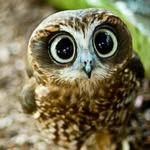 Barb Daniels - @barb.daniels.984 - Instagram