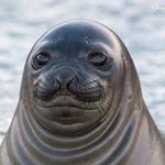 Ellen Richards 395 - @barbdaniels327580 - Instagram