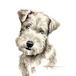Barb Decker - @snowtaire - Instagram