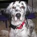 Barb Decker - Facebook