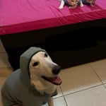 Barb Doyle - @barbdoyle33 - Instagram