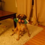 Barb Doyle - @barb.doyle.927 - Instagram