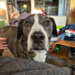 Barb Doyle-Frisch - @bldoylefrisch - Instagram