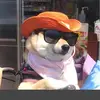 barbaradoyle19860 - @barbaradoyle19860 - TikTok