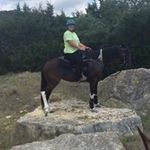 Barb Drake - @barbdrake6142 - Instagram