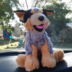 Barb Draper - Facebook
