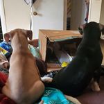 Barb Dublin - @barbdublin - Instagram