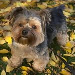 Barb Dudley-Mitchell - @bbrochak - Instagram
