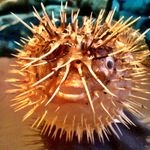 Barb Duffy - @barb_duffy123 - Instagram