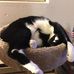 Barbara Duffy - Facebook