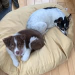 Barb Dunham - @barbdunham6 - Instagram