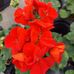 Barb Ebert - Facebook