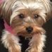 Barb Ebert - Facebook